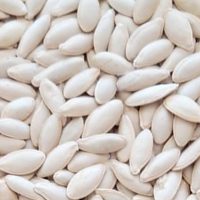 بذر کدوی مشهدی آجیلی محلی