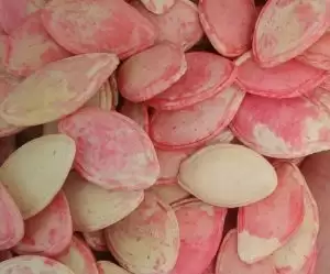 رنگ بذر کدو هیبرید اصل